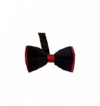 BT021 design two color matching tie for men and women bridegroom's best man evening performance collar tie manufacturer detail view-1